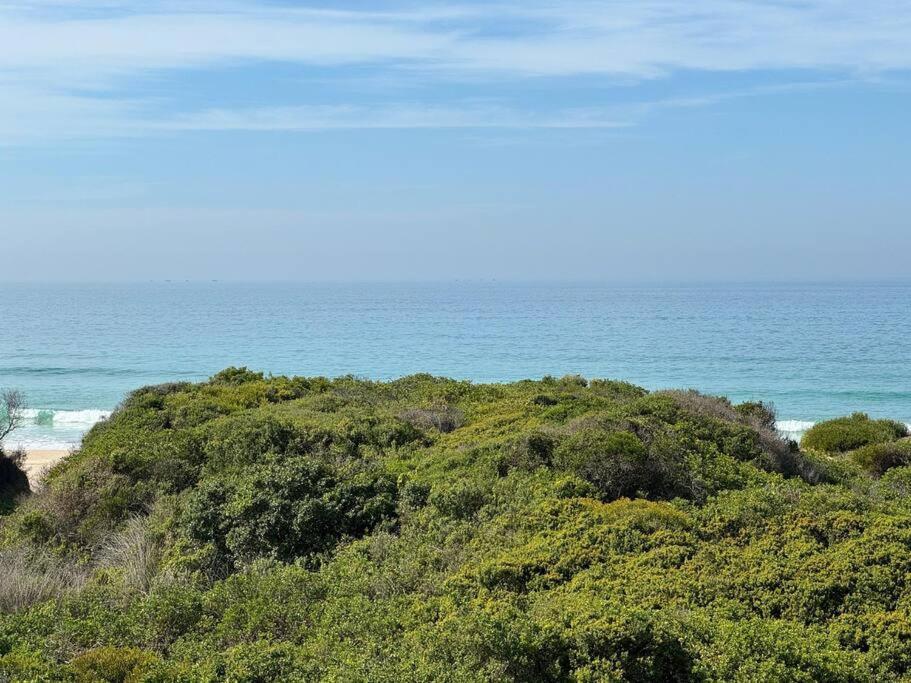 Low Tide At No 35 St Francis Bay Exterior foto